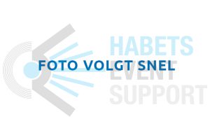 Sorbetlepel | V1 | 18 cm | 25 stuks