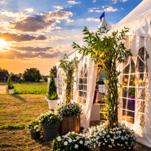 🎪 Tenten & Overkappingen